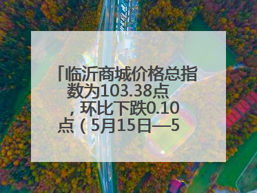 临沂商城价格总指数为103.38点，环比下跌0.10点（5月15日—5月21日）