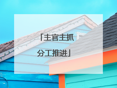 主官主抓 分工推进