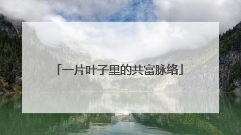 一片叶子里的共富脉络