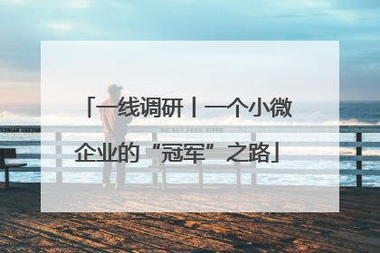 一线调研丨一个小微企业的“冠军”之路