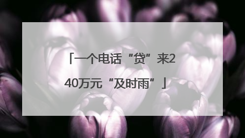 一个电话“贷”来240万元“及时雨”