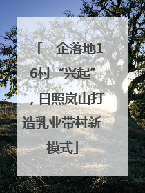 一企落地16村“兴起”，日照岚山打造乳业带村新模式