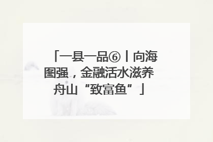 一县一品⑥丨向海图强,金融活水滋养舟山“致富鱼”