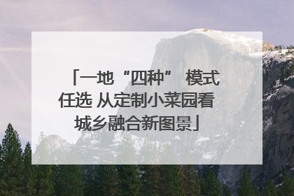一地“四种” 模式任选 从定制小菜园看城乡融合新图景