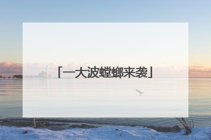 一大波螳螂来袭