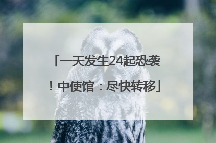 一天发生24起恐袭！中使馆：尽快转移