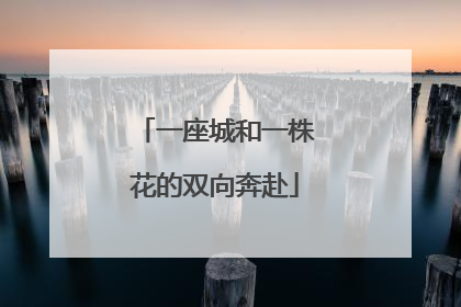 一座城和一株花的双向奔赴