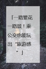 一路繁花一路景！乘公交也能玩出“旅游感”