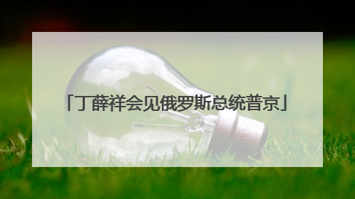 丁薛祥会见俄罗斯总统普京