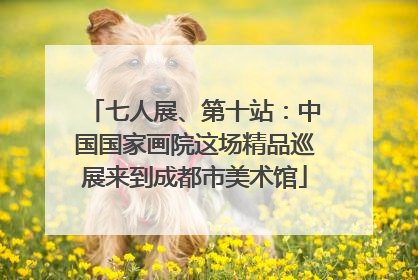 七人展、第十站：中国国家画院这场精品巡展来到成都市美术馆