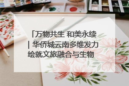 万物共生 和美永续｜华侨城云南多维发力 绘就文旅融合与生物多样性保护新图景