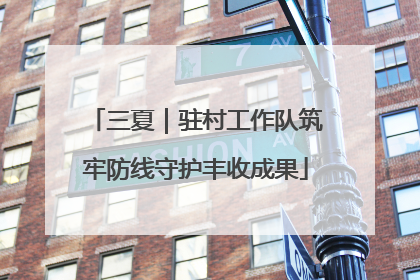 三夏｜驻村工作队筑牢防线守护丰收成果
