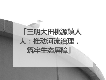 三明大田桃源镇人大：推动河流治理，筑牢生态屏障