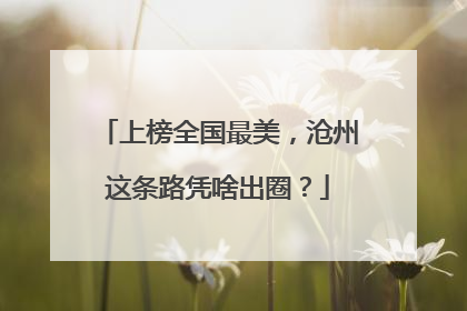 上榜全国最美，沧州这条路凭啥出圈？
