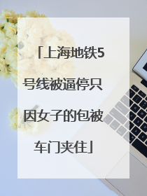 上海地铁5号线被逼停只因女子的包被车门夹住