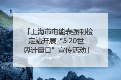 上海市电能表强制检定站开展“5·20世界计量日”宣传活动