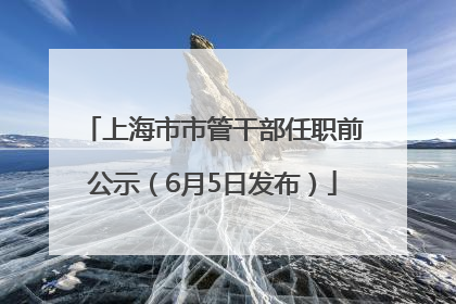 上海市市管干部任职前公示（6月5日发布）