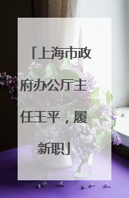 上海市政府办公厅主任王平，履新职