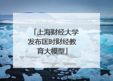 上海财经大学发布匡时财经教育大模型