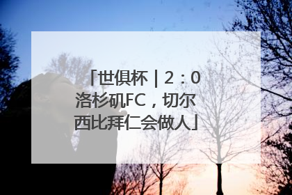 世俱杯｜2：0洛杉矶FC，切尔西比拜仁会做人