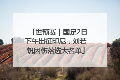 世预赛｜国足2日下午出征印尼，刘若钒因伤落选大名单