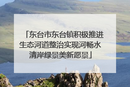 东台市东台镇积极推进生态河道整治实现河畅水清岸绿景美新愿景