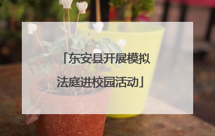 东安县开展模拟法庭进校园活动