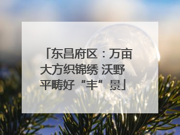 东昌府区：万亩大方织锦绣 沃野平畴好“丰”景