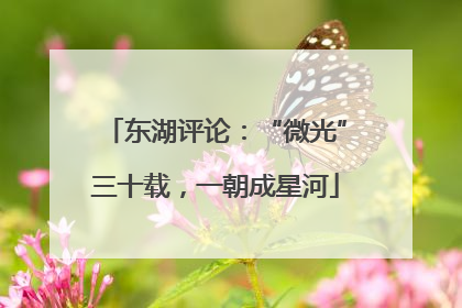 东湖评论：“微光”三十载，一朝成星河