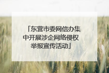 东营市委网信办集中开展涉企网络侵权举报宣传活动