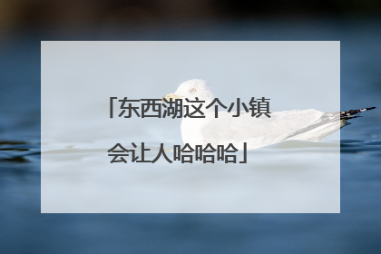 东西湖这个小镇会让人哈哈哈