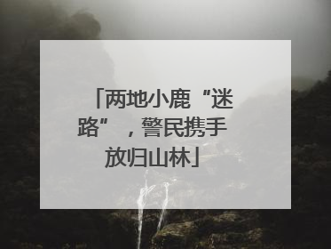 两地小鹿“迷路”，警民携手放归山林