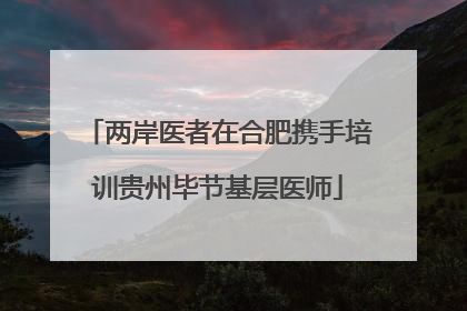 两岸医者在合肥携手培训贵州毕节基层医师