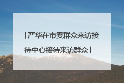 严华在市委群众来访接待中心接待来访群众