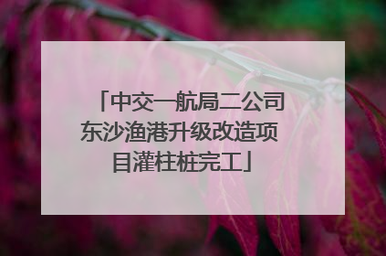 中交一航局二公司东沙渔港升级改造项目灌柱桩完工