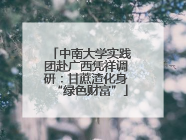 中南大学实践团赴广西凭祥调研：甘蔗渣化身“绿色财富”