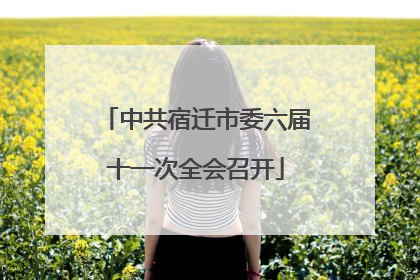 中共宿迁市委六届十一次全会召开