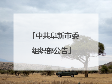 中共阜新市委组织部公告