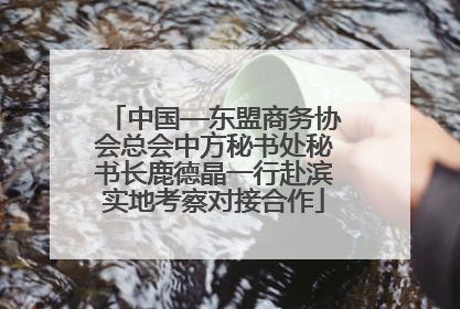 中国—东盟商务协会总会中方秘书处秘书长鹿德晶一行赴滨实地考察对接合作