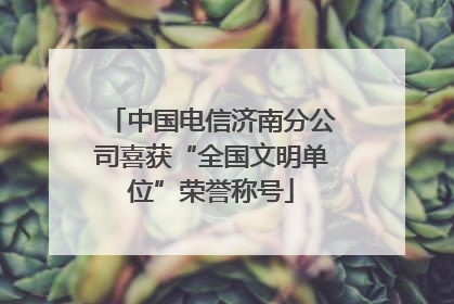 中国电信济南分公司喜获“全国文明单位”荣誉称号