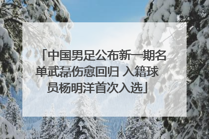 中国男足公布新一期名单武磊伤愈回归 入籍球员杨明洋首次入选