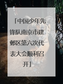 中国少年先锋队南京市建邺区第六次代表大会顺利召开