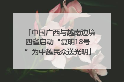 中国广西与越南边境四省启动“复明18号”为中越民众送光明