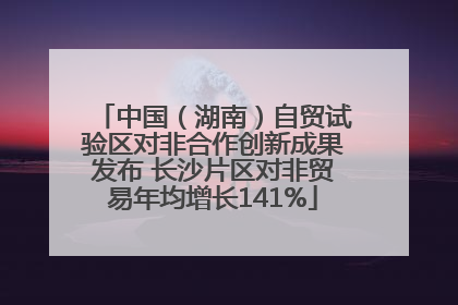 中国（湖南）自贸试验区对非合作创新成果发布 长沙片区对非贸易年均增长141%