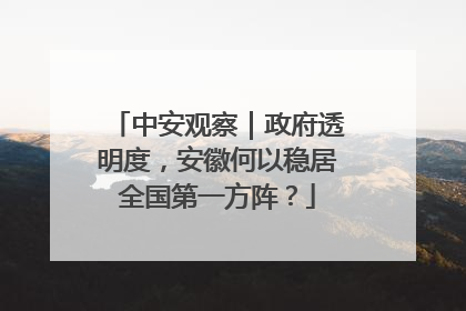 中安观察｜政府透明度，安徽何以稳居全国第一方阵？