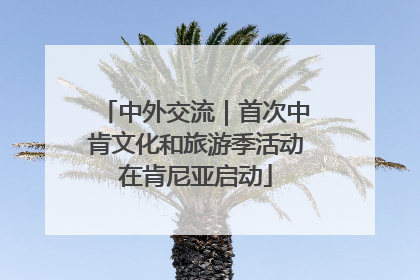 中外交流｜首次中肯文化和旅游季活动在肯尼亚启动