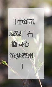 中新武威观｜石榴同心 筑梦凉州