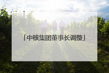 中核集团董事长调整