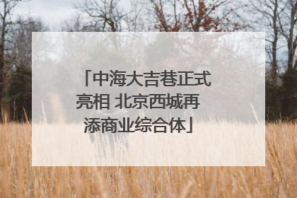 中海大吉巷正式亮相 北京西城再添商业综合体