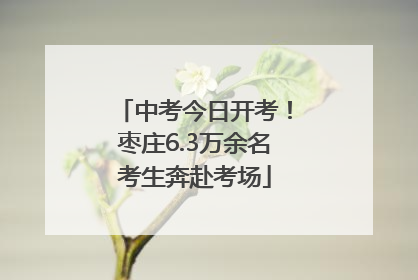 中考今日开考！枣庄6.3万余名考生奔赴考场